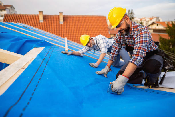 Best Roof Insulation Installation  in Oak Harbor, OH